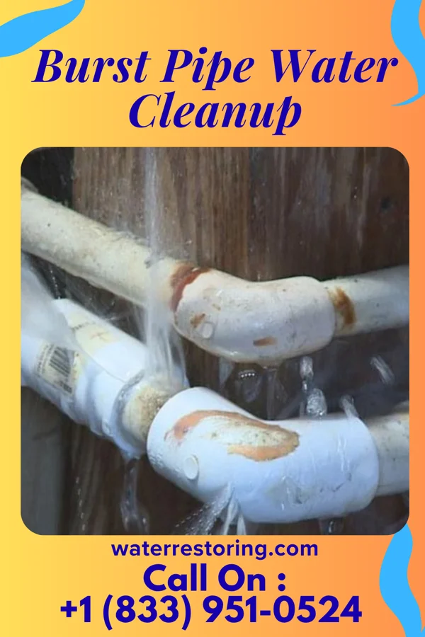 Burst Pipe Water Cleanup in Belgrade, MT